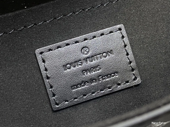 Monogram Camera LOUIS VUITTON Canvas Box 0806
